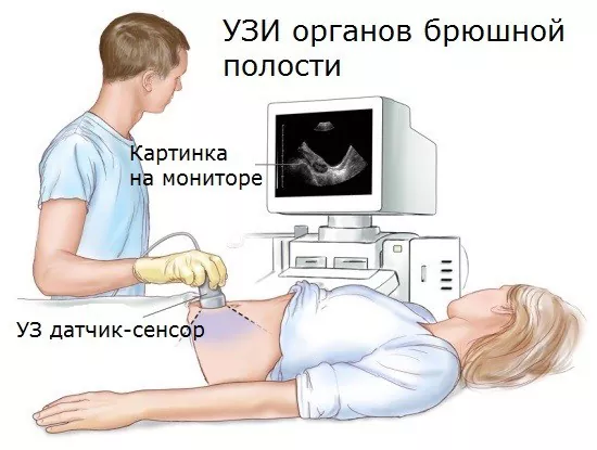 Так проводится УЗИ живота