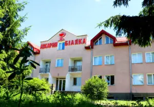 Чим небезпечні спайки в черевній порожнині фото